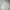 Polo Ralph Lauren Luxury Casual Formal shirt Pria white photo 4