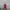 Evening dress Wanita multicolor pink photo 1