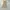 ANAIN Minimalist Casual Skirt Wanita tan photo 3