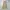 ANAIN Minimalist Casual Skirt Wanita tan photo 1