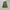 Vintage Streetwear Skirt Wanita green photo 1