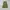 Vintage Streetwear Skirt Wanita green photo 4