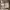 Burberry Vintage Casual Shirt Wanita tan cream photo 5