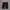 Fieldcore Sportswear Short Pria black photo 2