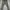 H&M Casual Jeans Pria Gray