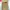 The North Face Casual Short Pria tan photo 1