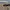 The North Face Casual Short Pria tan photo 4