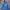 Disney Gorpcore Minimalist Puffer jacket Wanita blue photo 2