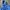 Disney Gorpcore Minimalist Puffer jacket Wanita blue photo 5