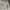 Coquette Casual Wide leg jeans Wanita multicolor white photo 2