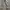 Casual Wide leg jeans Wanita gray photo 6