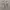 Casual Wide leg jeans Wanita gray photo 4
