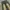 Vintage Streetwear Pria tan photo 1