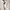 H&M Casual Windbreaker Wanita silver photo 4