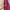 Puffer jacket Pria red photo 6