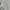 H&M Streetwear Casual Sweater Wanita gray photo 3