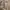 Patagonia Streetwear Sportswear Fur coat Kids tan photo 2