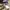 Patagonia Streetwear Sportswear Fur coat Kids tan photo 7