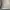 Maison Margiela Luxury Minimalist Tas dompet Wanita tan cream photo 5