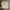 Vintage Y2K T-shirt Pria gray photo 1