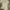 Vintage Y2K T-shirt Pria gray photo 2