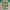 Vintage Cosplay T-shirt Pria green gray photo 4