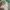Vintage Cosplay T-shirt Pria green gray photo 3