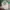 Vintage Cosplay T-shirt Pria green gray photo 1