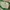 Vintage Cosplay T-shirt Pria green gray photo 5