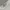 Miu Miu Luxury Casual Casual trouser Wanita white photo 8