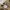 Burberry Luxury Casual Casual trouser Wanita tan photo 7
