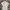 Casual Polo shirt Pria white photo 2