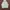 Missoni Vintage Casual Fleece Wanita white tan cream photo 1