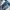 Balmain Biker Jeans Pria navy blue photo 6