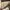 Timberland Vintage Y2K Boots Pria brown photo 6