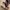 Timberland Vintage Y2K Boots Pria brown photo 2