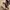 Timberland Vintage Y2K Boots Pria Brown