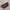 Sophie Martin Vintage Minimalist Handbag Wanita brown photo 1
