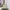 Tory Burch Minimalist Bucket bag Wanita cream photo 1