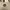 Tory Burch Minimalist Bucket bag Wanita cream photo 2
