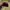 New Era Streetwear Skater Hat Pria burgundy black photo 4