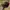 New Era Streetwear Skater Hat Pria burgundy black photo 1