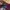 New Era Streetwear Skater Hat Pria burgundy black photo 7
