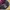 New Era Streetwear Skater Hat Pria burgundy black photo 6
