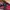 New Era Streetwear Skater Hat Pria pink photo 6