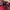 New Era Streetwear Skater Hat Pria pink photo 7