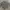 Nike Vintage Streetwear Sweater Pria gray photo 2
