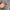 Dickies Luxury Casual Hoody Pria gray photo 5