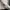 Dickies Luxury Casual Hoody Pria gray photo 7