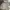 Dickies Luxury Casual Hoody Pria gray photo 6